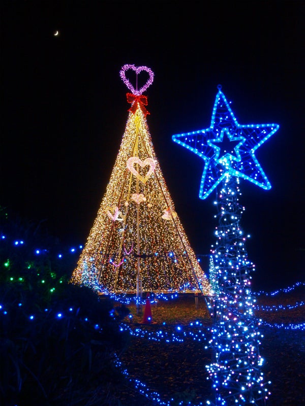 【大崎・石巻・県北エリア発】 旅のすごろく市12月(最終回) 寒さの中にこそ煌めく!2つイルミネーションミステリー(日帰り)1